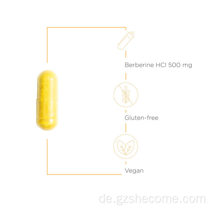 Berberin verbessern Immunität Berberinhydrochloridkapseln